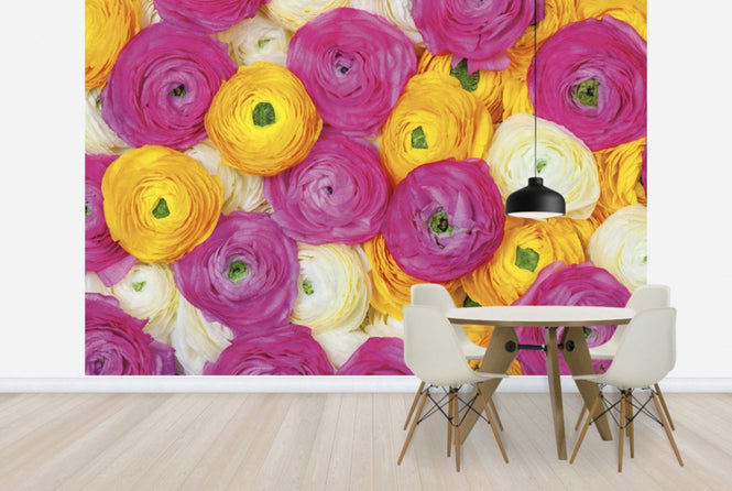 PHOTOWALL / Ranunculus (e25546)