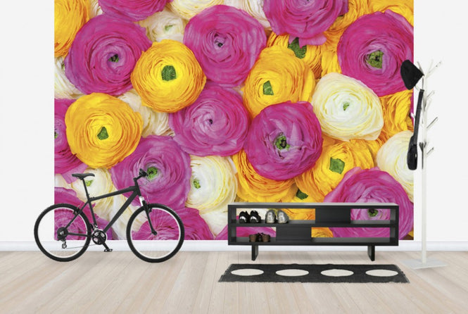 PHOTOWALL / Ranunculus (e25546)