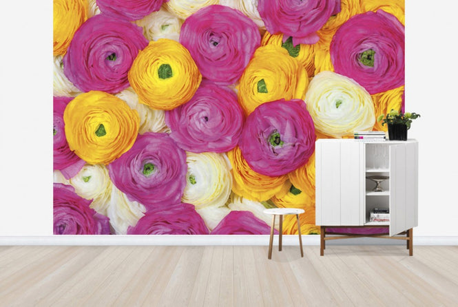 PHOTOWALL / Ranunculus (e25546)