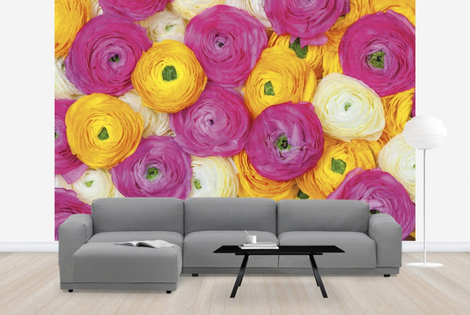 PHOTOWALL / Ranunculus (e25546)
