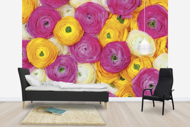 PHOTOWALL / Ranunculus (e25546)
