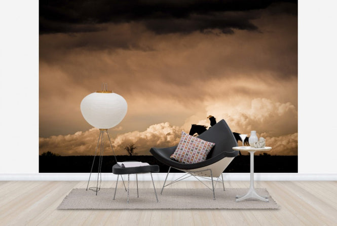 PHOTOWALL / Ride the Storm (e29569)