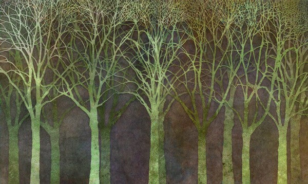 PHOTOWALL / Birch Grove Night Green (e25606)