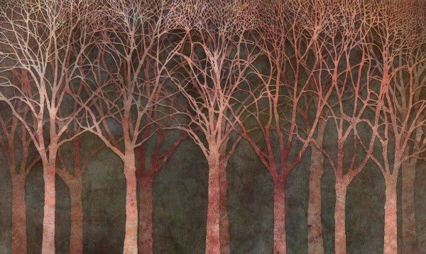 PHOTOWALL / Birch Grove Night Twilight (e25608)