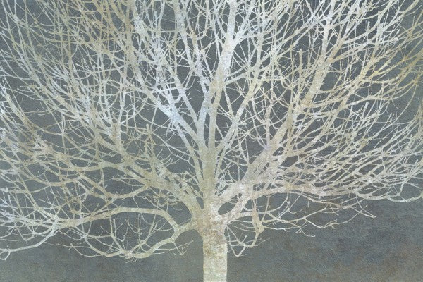 PHOTOWALL / Silver Trees (e25609)