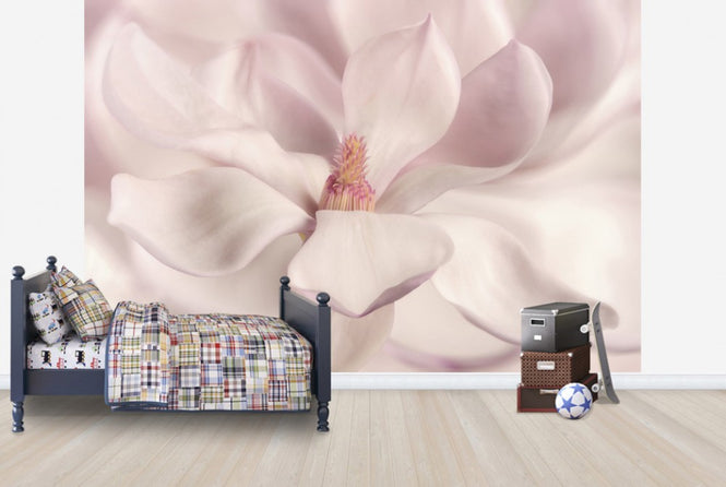 PHOTOWALL / White Magnolia (e25611)