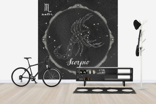 PHOTOWALL / Night Sky Scorpio (e25623)