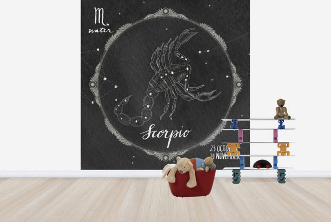 PHOTOWALL / Night Sky Scorpio (e25623)