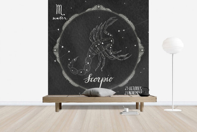 PHOTOWALL / Night Sky Scorpio (e25623)