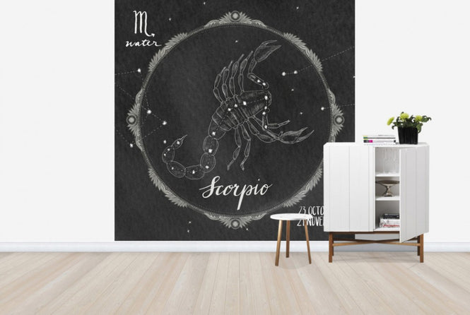 PHOTOWALL / Night Sky Scorpio (e25623)