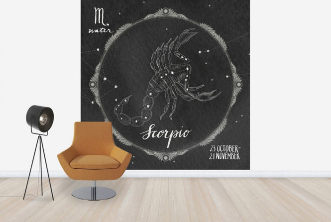 PHOTOWALL / Night Sky Scorpio (e25623)