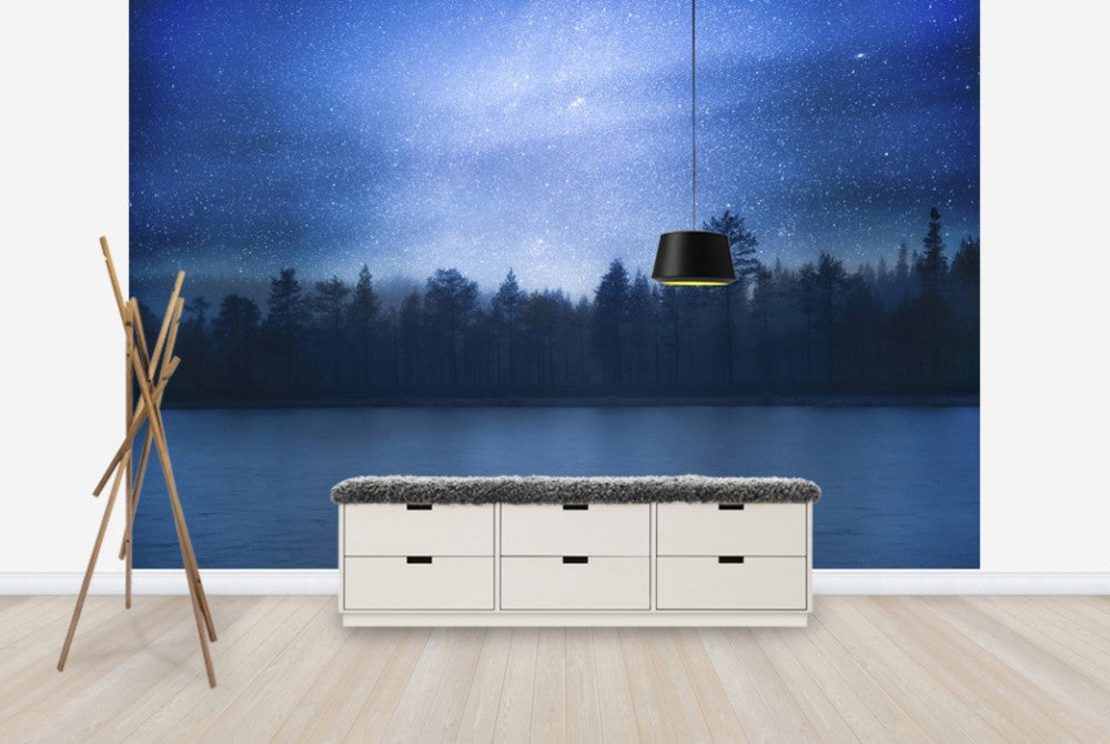 ワルパ 専用 PHOTOWALL / Here be Dragons (e329657) | 輸入壁紙専門店 WALPA