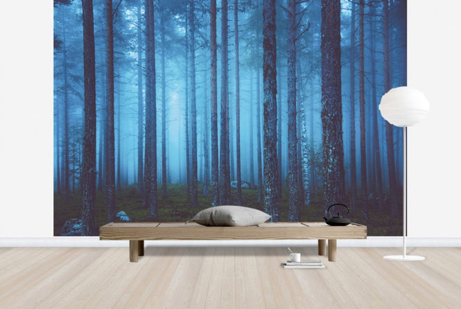 PHOTOWALL / Mystic Forest (e25663)