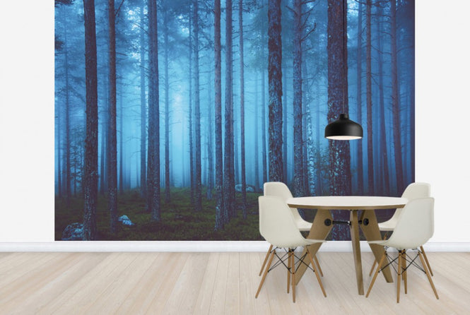 PHOTOWALL / Mystic Forest (e25663)