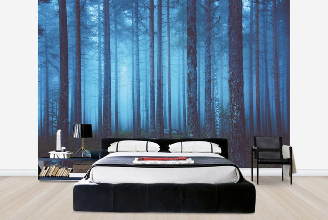 PHOTOWALL / Mystic Forest (e25663)