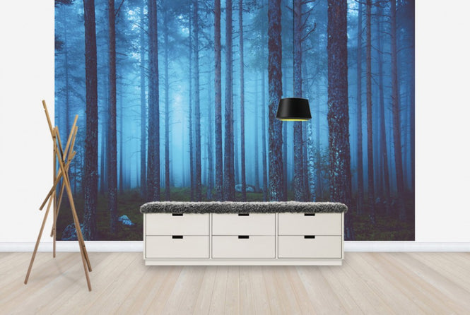 PHOTOWALL / Mystic Forest (e25663)