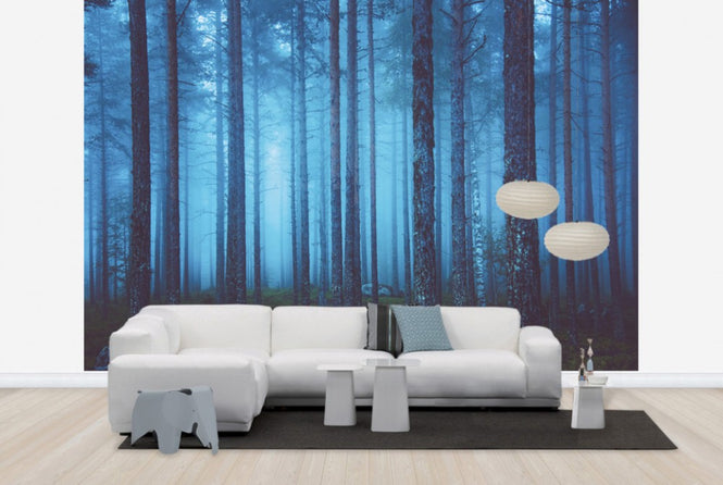 PHOTOWALL / Mystic Forest (e25663)