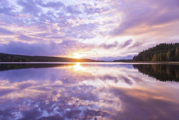 PHOTOWALL / Reflections (e25665)