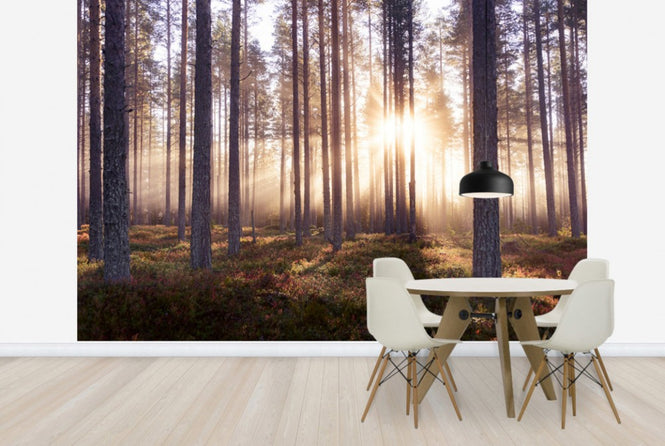 PHOTOWALL / The Enchanted Forest (e25668)