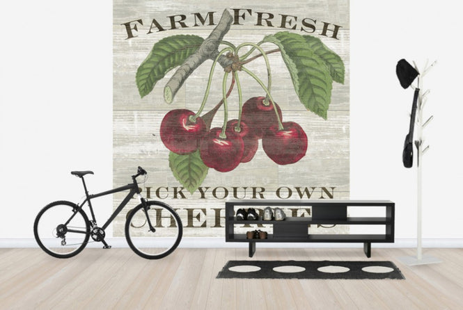 PHOTOWALL / Farm Fresh Cherries (e25640)