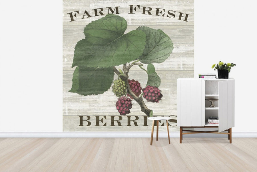 PHOTOWALL / Farm Fresh Raspberries (e25641)