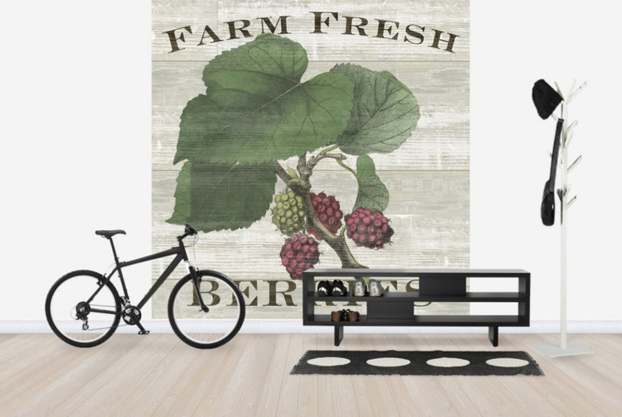 PHOTOWALL / Farm Fresh Raspberries (e25641)