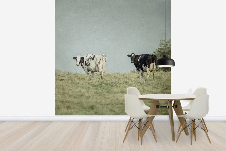PHOTOWALL / Grazing Cows (e25645)