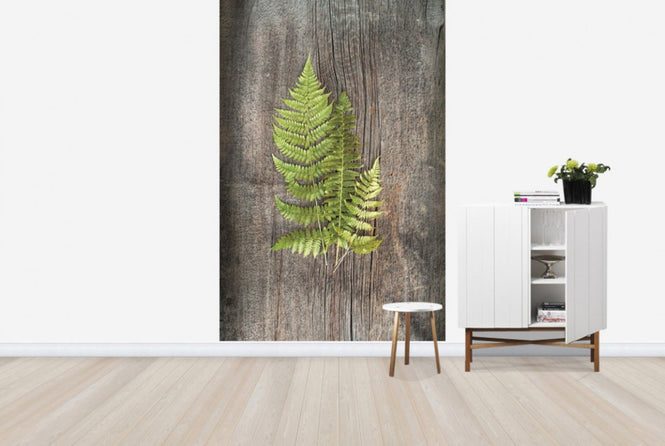 PHOTOWALL / Woodland Fern (e25656)
