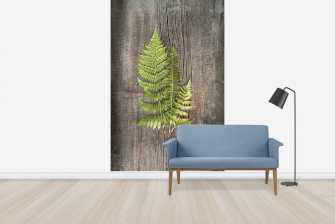 PHOTOWALL / Woodland Fern (e25656)