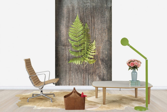 PHOTOWALL / Woodland Fern (e25656)