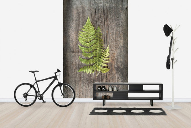 PHOTOWALL / Woodland Fern (e25656)