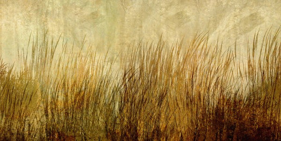 PHOTOWALL / Amber Grass Silhouette (e25724)