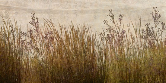 PHOTOWALL / Brass Grass Silhouette (e25726)