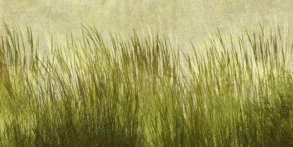 PHOTOWALL / Light Green Grass Silhouette (e25731)