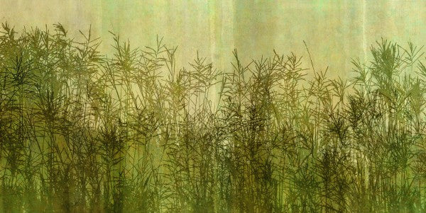 PHOTOWALL / Miscanthus Grass Silhouette (e25732)