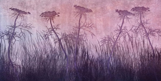PHOTOWALL / Purple Grass Silhouette (e25733)