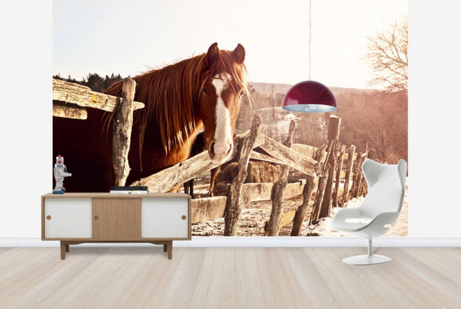 PHOTOWALL / Friendly Chestnut (e29589)