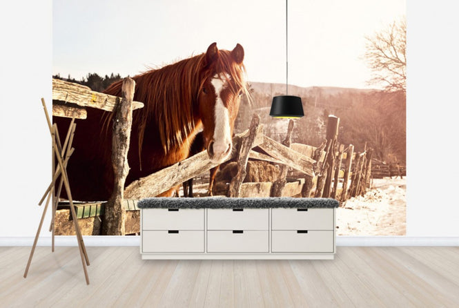 PHOTOWALL / Friendly Chestnut (e29589)