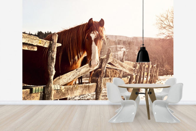 PHOTOWALL / Friendly Chestnut (e29589)