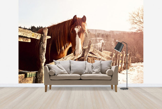 PHOTOWALL / Friendly Chestnut (e29589)
