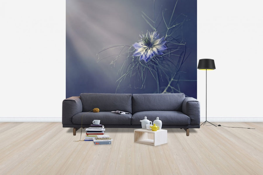 PHOTOWALL / Prickly Blue (e29620)