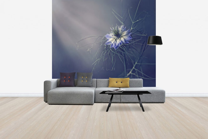 PHOTOWALL / Prickly Blue (e29620)