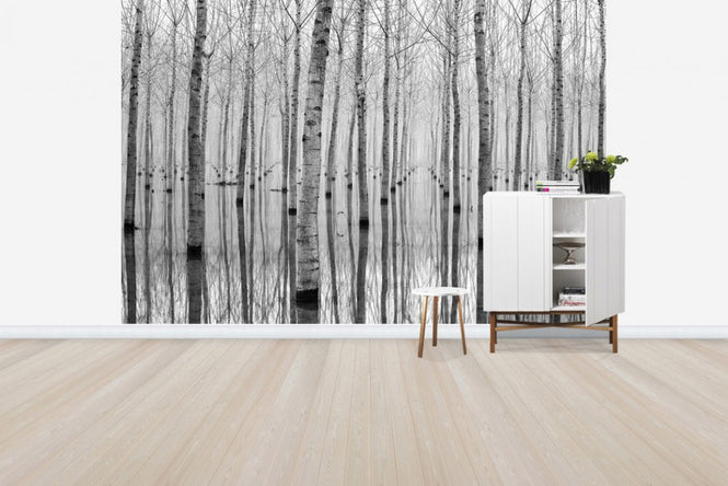 PHOTOWALL / November (e29621)