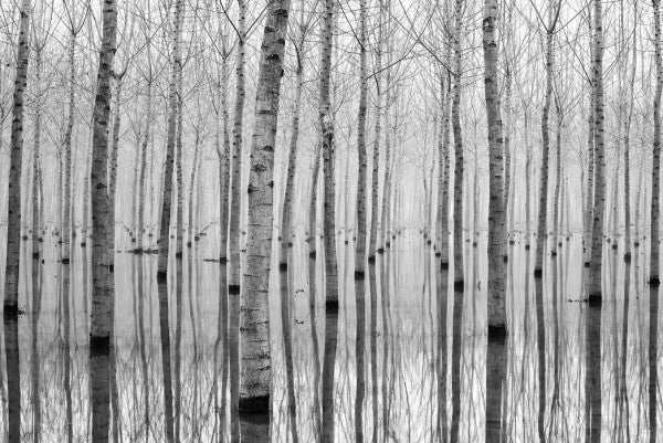 PHOTOWALL / November (e29621)