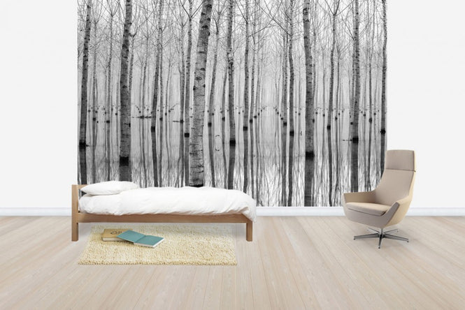PHOTOWALL / November (e29621)
