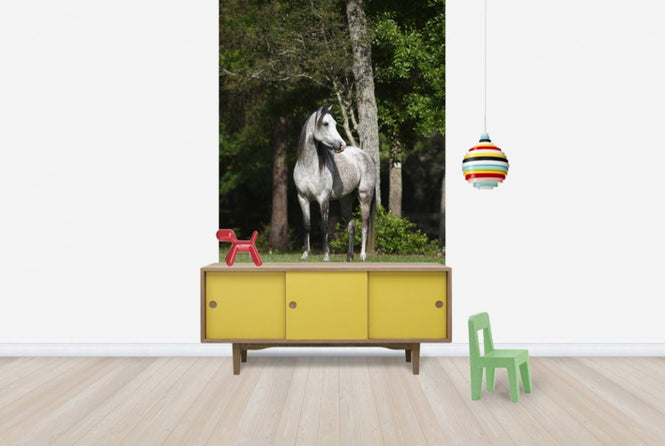PHOTOWALL / Grey Dot Horse (e29610)