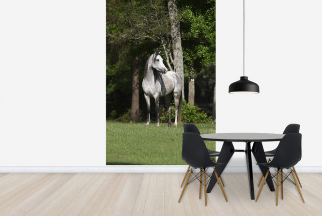 PHOTOWALL / Grey Dot Horse (e29610)