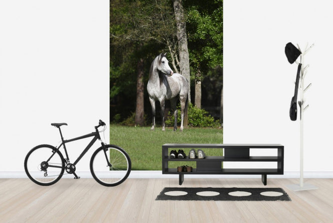 PHOTOWALL / Grey Dot Horse (e29610)