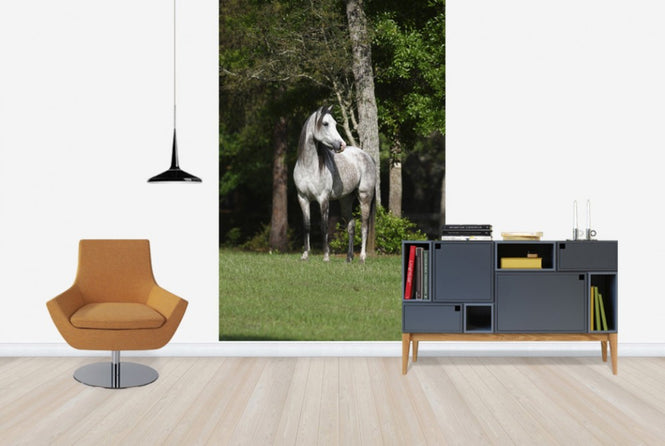PHOTOWALL / Grey Dot Horse (e29610)