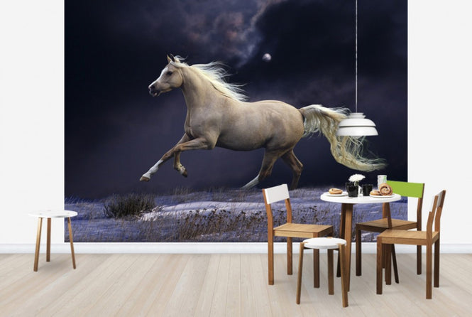 PHOTOWALL / Horse in Moonlight (e29612)